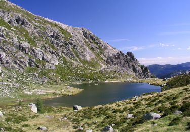 Percorso A piedi Bieno - IT-E366 - Photo