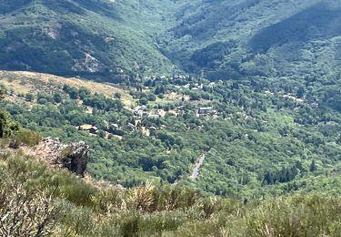 Trail Walking Dourbies - La Dourbie la Hêtraie la Dourbie - Photo