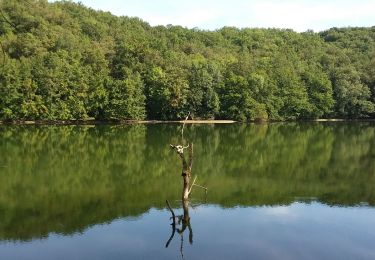 Tocht Stappen Pampelonne - Fontbonne  autour du barrage - Photo