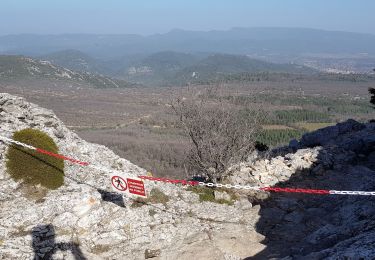 Tour Wandern Riboux - Sainte Baume par Riboux - Photo