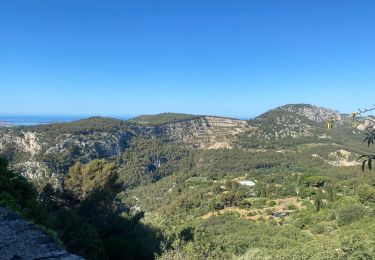 Trail Walking Évenos - Gorges DESTEL - Photo