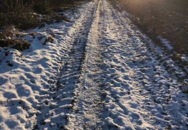 Randonnée Marche Durbuy - Boucle autour de Borlon en hiver  - Photo