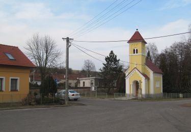 Excursión A pie Uherský Brod - Ujezdecka NS - Photo