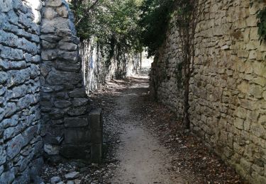 Tour Wandern Seynes - Le mont buquet - Photo