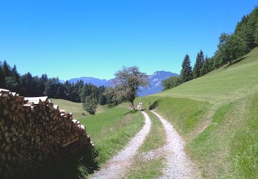 Percorso A piedi Gemeinde Scheffau am Wilden Kaiser - Wanderweg 57 - Wilder Kaiser - Photo