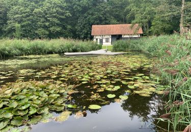 Tour Wandern Sint-Truiden - Le domaine Nieuwenhoven à Saint-Trond - Photo