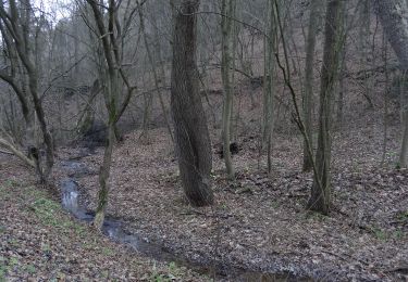 Excursión A pie Kosoř - NS Černá rokle - Kosoř - Photo