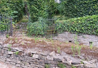 Tocht Stappen Comblain-au-Pont - qwadrifyon autour d´Oneux  - Photo