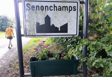 Randonnée Marche Bastogne - Marche 10 km 500 à Senonchamps. - Photo