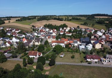 Tour Zu Fuß Meckesheim - Rundwanderweg Mönchzell Sportplatz 3: Kloster-Weg - Photo