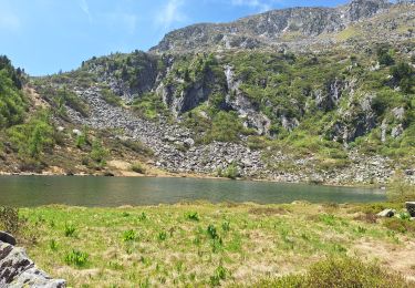 Trail Walking Pinzolo - lago alto - Photo