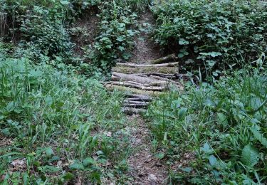 Tour Wandern Vouthon-Bas - reco 3 - Photo