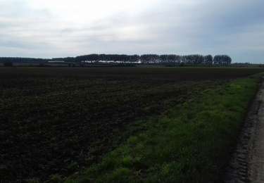 Trail Walking Braives - Fallais 18 octobre 20 21  - Photo