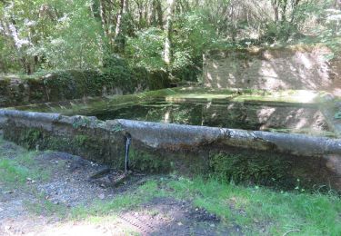 Tocht Stappen Lacapelle-Livron - PR1 Lacapelle-Livron : Chemin des anciens moulins - Photo