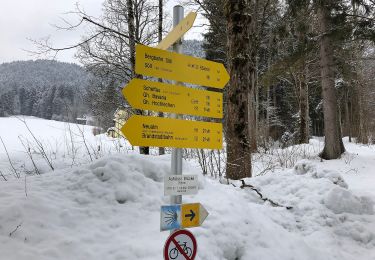 Percorso A piedi Gemeinde Söll - Wanderweg 55 - Kaisergebirge - Photo