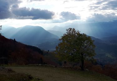 Tour Wandern Saint-Martin-d'Uriage - Circuit des Gardes - Photo