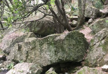 Tour Wandern Babeau-Bouldoux - Babeau-Bouldoux - Cauduro - Résurgence du Vernazobre - Photo