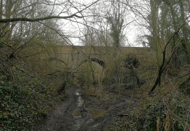 Trail Walking Braine-le-Comte - 2021-02-07 12:42:45 BLC-Rebecq-BLC 2 ist - Photo