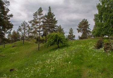 Tocht Te voet Alfeld - Rundweg Claramühle - Photo