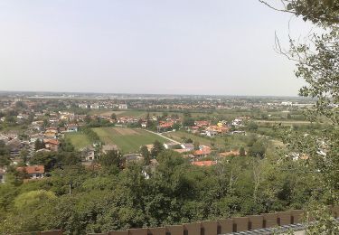 Tour Zu Fuß Fogliano Redipuglia - Sentiero CAI n. 80 - Photo