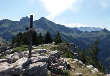 Trail Walking Glières-Val-de-Borne - BARGY: ROCHERS DE LESCHAUX AU DEPART DE CENISE - Photo