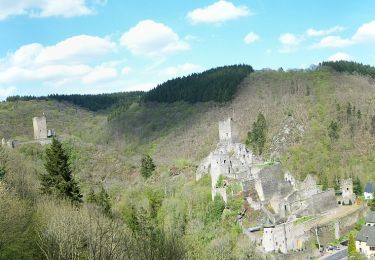 Excursión A pie Manderscheid - Manderscheider Burgensteig - Photo