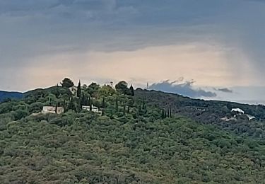 Tocht Stappen Céret - 20210728 St Ferreol - Photo