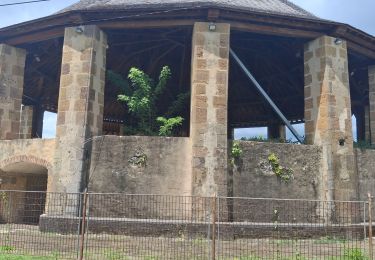 Trail Walking Sainte-Anne - Moulin du Val D'Or  - Piton Crève-Coeur - Photo