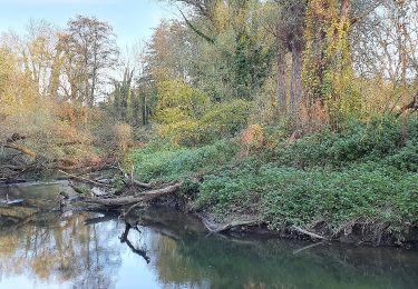 Trail On foot Herzogenrath - Wasserweg Wurm - Photo