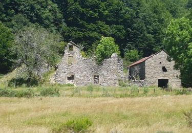Trail Walking Saint-Sauveur-Camprieu - Abîme de Bramabiau - Camprieu - Abbaye du Bonheur  - Photo