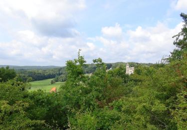 Randonnée Marche Philippeville - Balade de Sart en Fagne à Merlemont - Photo