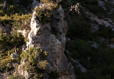 Tour Zu Fuß Δημοτική Ενότητα Φυλής - Μονή Κυπριανού - Κιάφα Πίνη - Photo