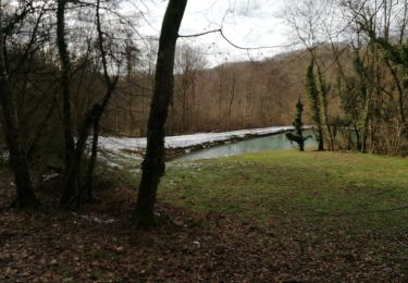 Tour Wandern Bressolles - 01 Bressolles 16km 240m - Photo