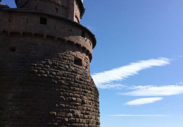 Tour Wandern Kinzheim - Haut koenigsbourg Final - Photo