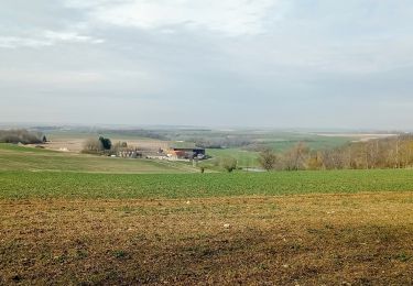 Trail Walking Mareuil-en-Dôle - Mareuil-en-Dole du 01-03-2022 - Photo