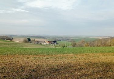 Tocht Stappen Mareuil-en-Dôle - Mareuil-en-Dole du 01-03-2022 - Photo