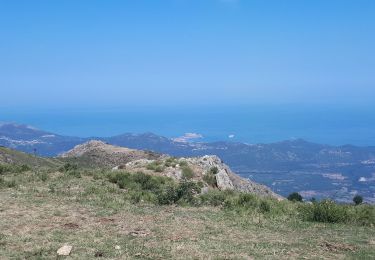 Trail Walking Vallica - Vallica col de Battaglia pioggiola omni-cappela - Photo