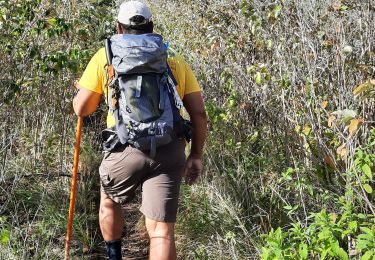 Trail Walking Les Anses-d'Arlet - Cap Salomon vers grand anse. - Photo