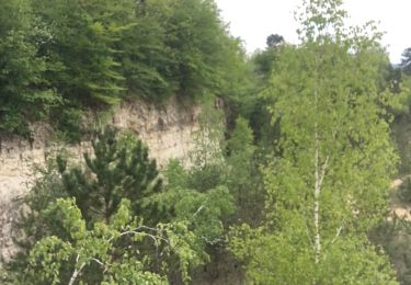 Tocht Mountainbike Toul - 20190517 Pierre-la-Treiche et Deuille - Photo