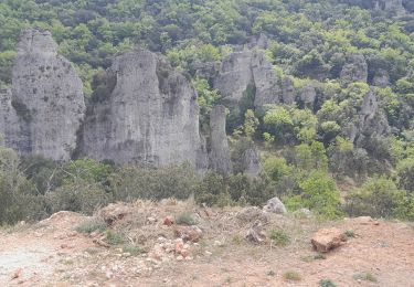 Randonnée Marche Belgentier - Belgentier  - Photo