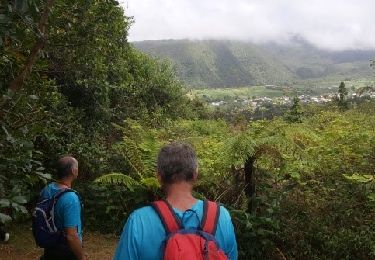 Tocht Te voet Saint-Louis - Boucle des Canots - Photo