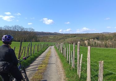 Tocht Mountainbike Vinay - Vinay-Cognin-Izeron - Photo