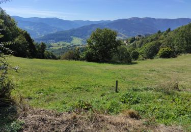 Tour Wandern Hohrod - Hohrodberg après midi - Photo