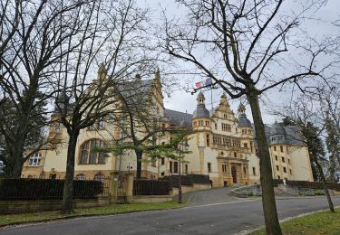 Trail Walking Longeville-lès-Metz - 🎅🎄 Noël à Metz - Photo