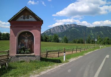 Randonnée A pied Fladnitz an der Teichalm - Wanderweg 1 - Photo