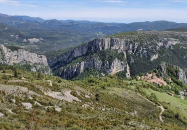 Tour Wandern Rougon - GR4 Jour 7 Rougon - Le Mourre de Chanier 23-05-2021 - Photo