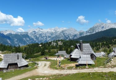 Excursión Senderismo Kamnik - 2023-07-29 14:37:35 - Photo