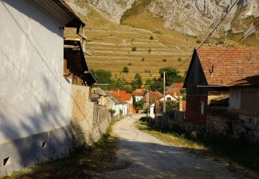 Randonnée A pied  - Rimetea - Colțești - Vidolm - Photo