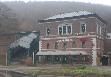 Tocht Stappen Chaudfontaine - autour de la Béole - Photo