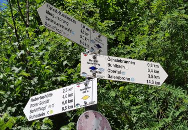 Tour Zu Fuß Baiersbronn - Schöner Platz-Hänger - Photo